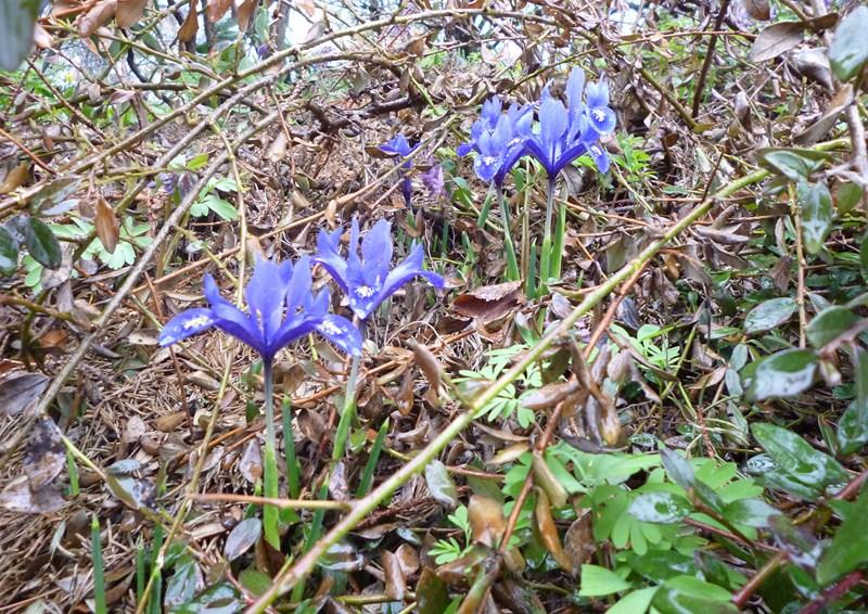 Творческие фотографии