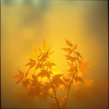 Второй Псалом Инносу.jpg